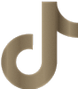 tiktok logo